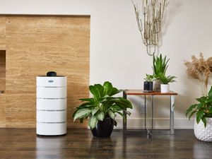 indoor air quality services