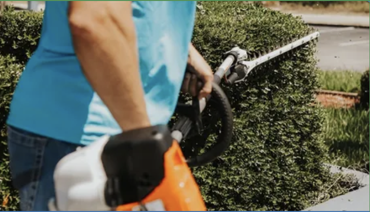 Crystal Cut Lawn Care employee using a hedge trimmer to shape bushes in yard.