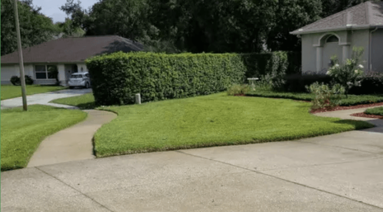 Clean yard with freshly mowed grass, trimmed bushes, and no leaves.