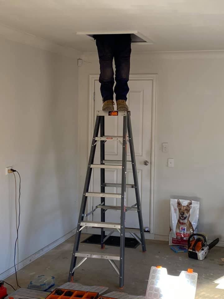 Electrician Standing on A Ladder — Electrician in Lake Gardens VIC