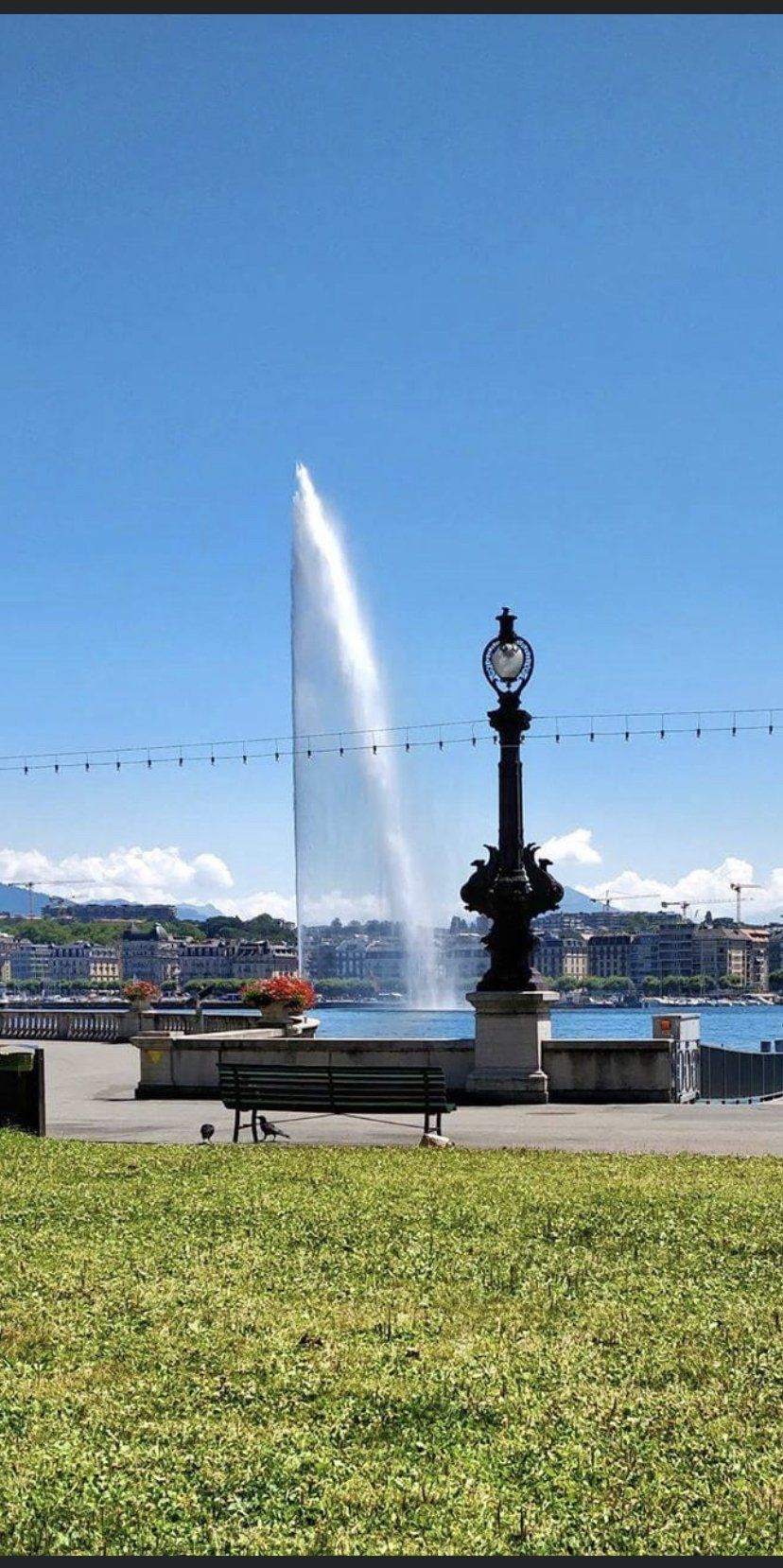 jet d'eau de genève en journée