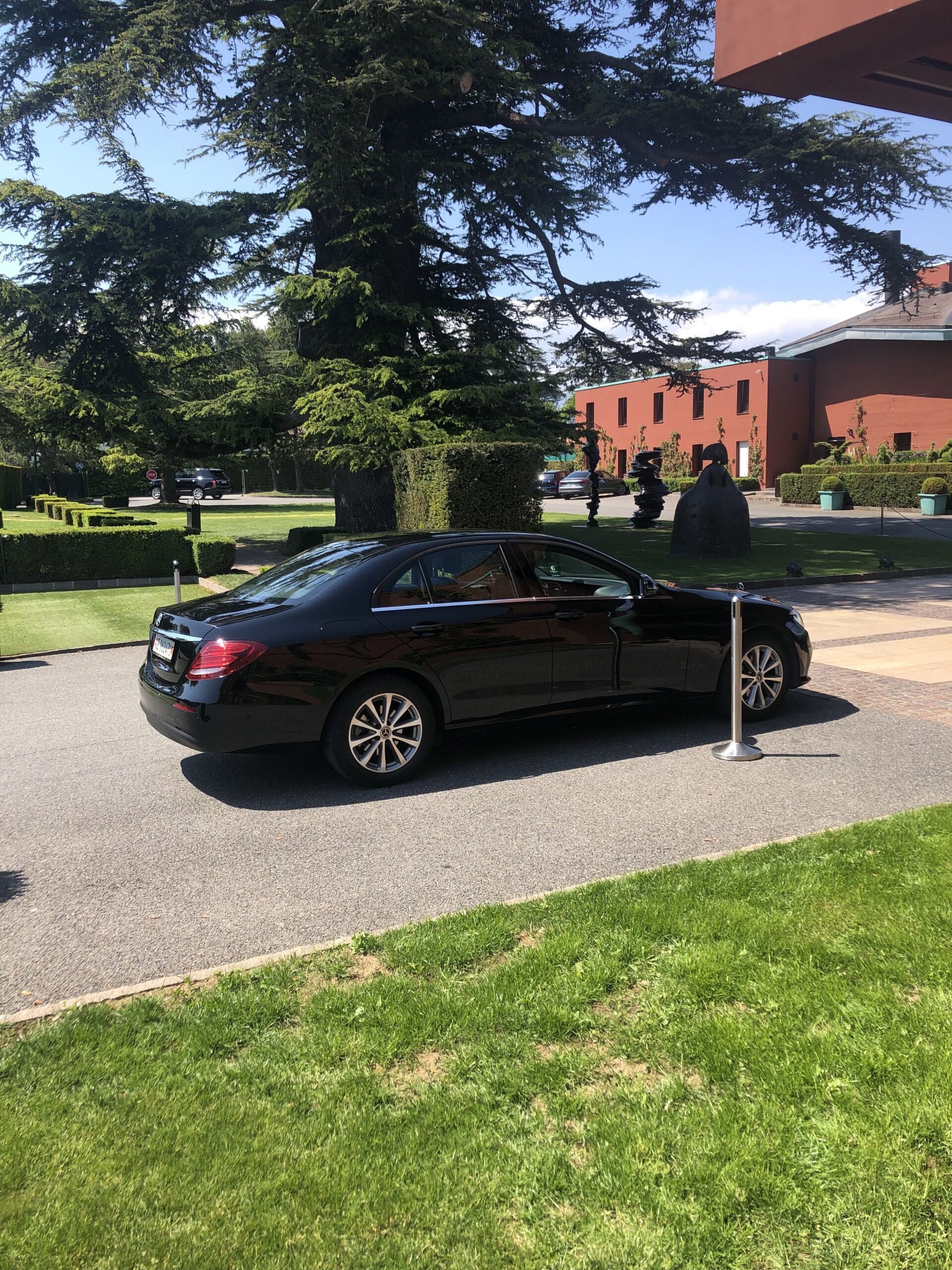 voiture noire dans un parc avec soleil