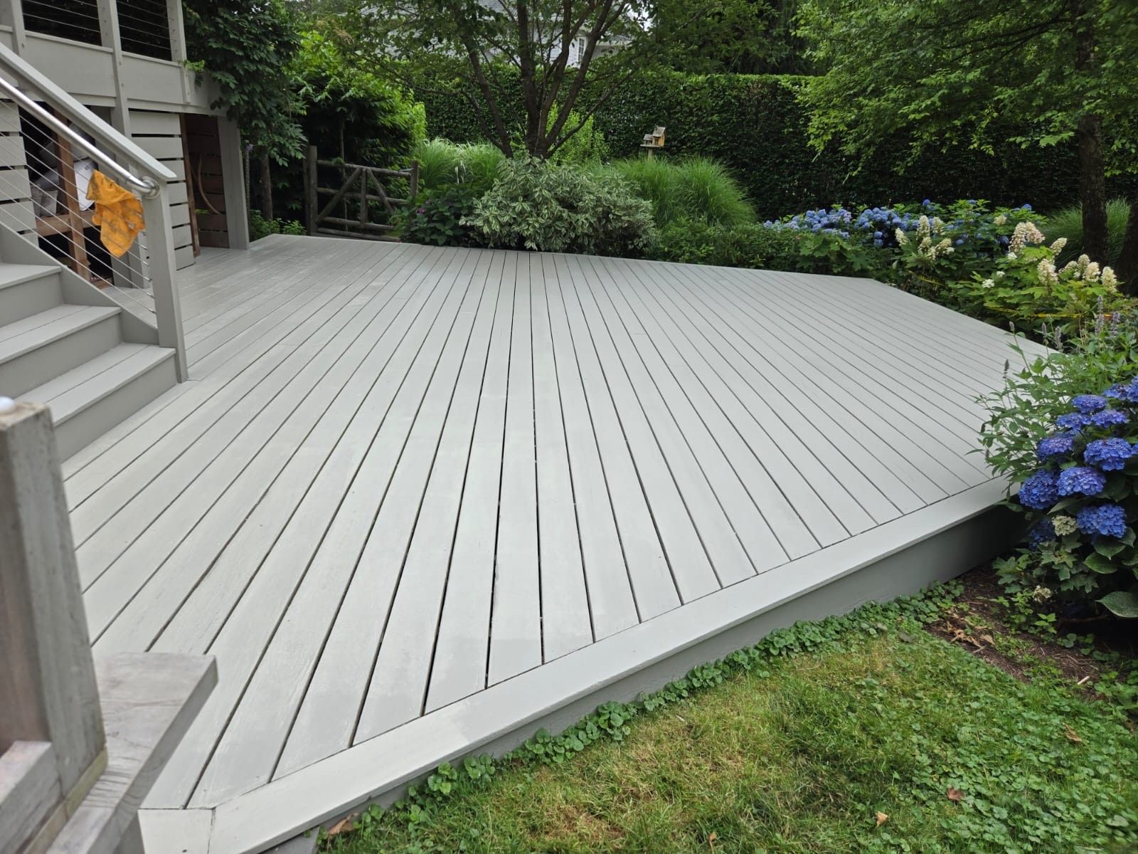 Gray deck with stairs and landscaping including blue hydrangeas.