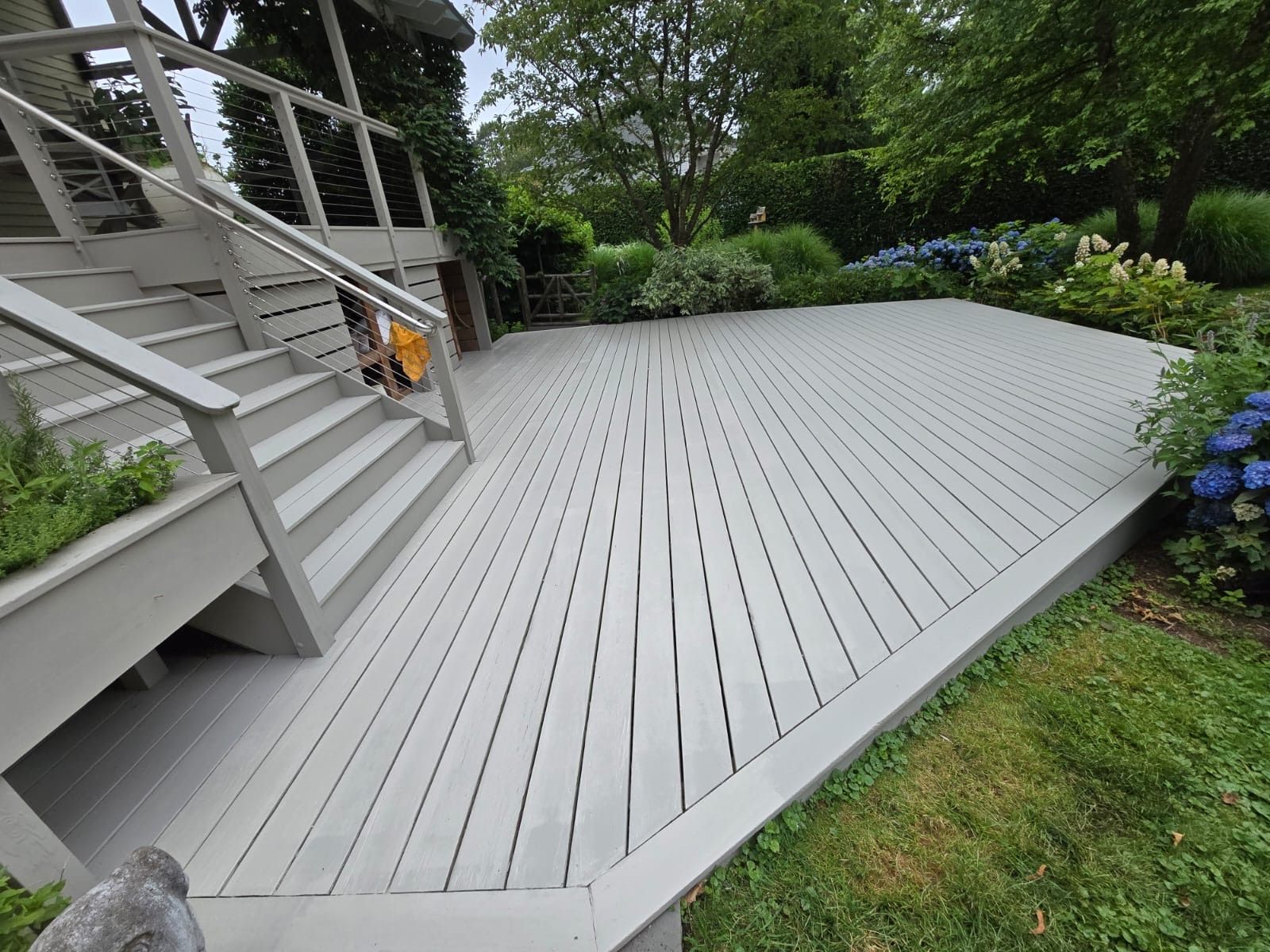 Gray wooden deck with stairs, surrounded by green grass and blue hydrangea bushes.