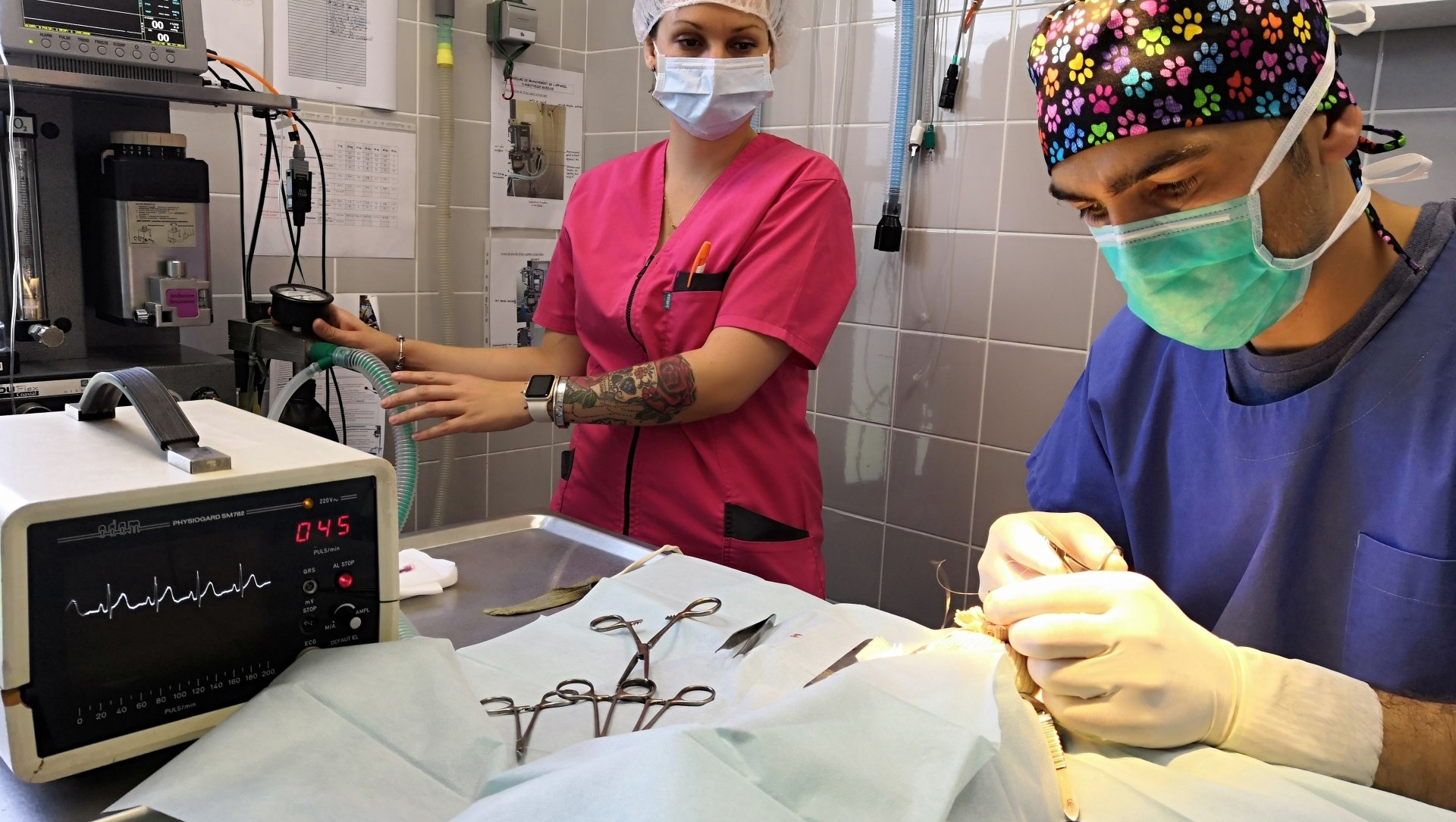 Bloc chirurgicale vétérinaire demi-lune