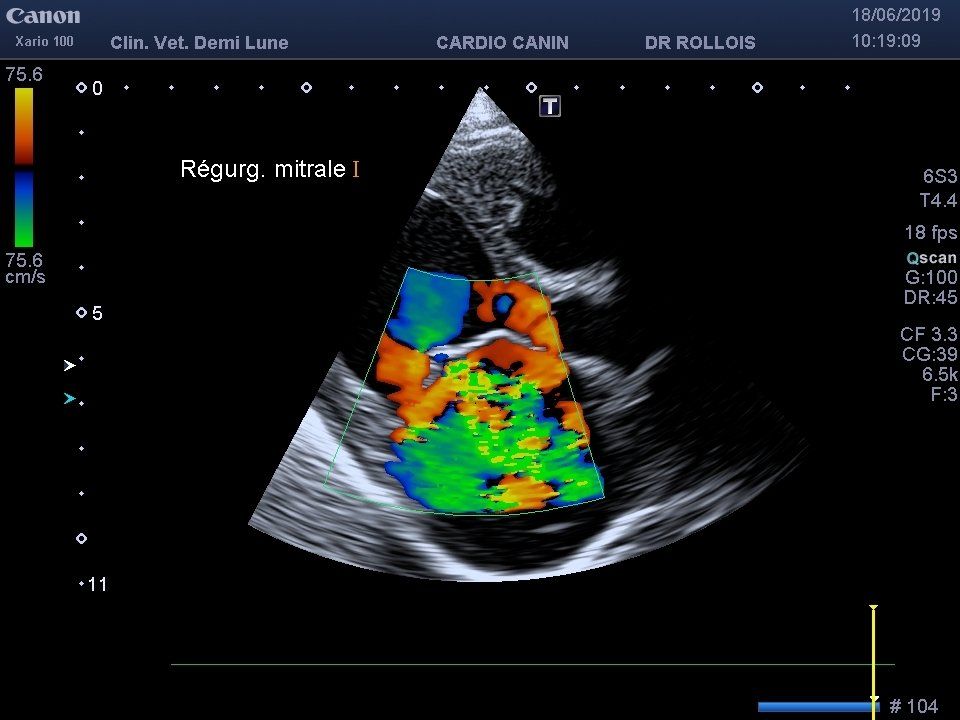 L’échocardiographie à la clinique vétérinaire demi-lune