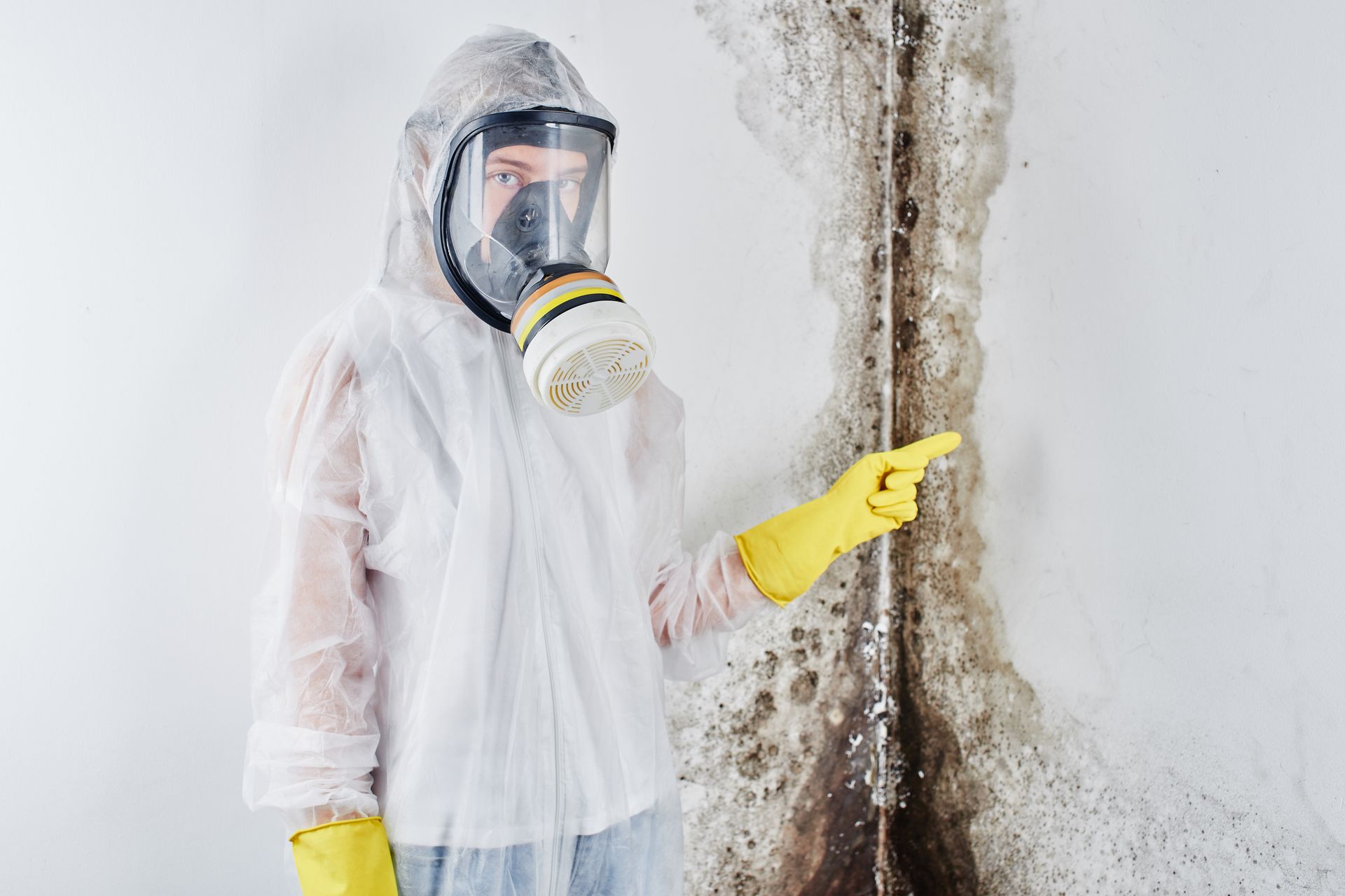  professional-disinfector-overalls-mask-points-finger-black-mold-wall-removal-fungus-apartment-house