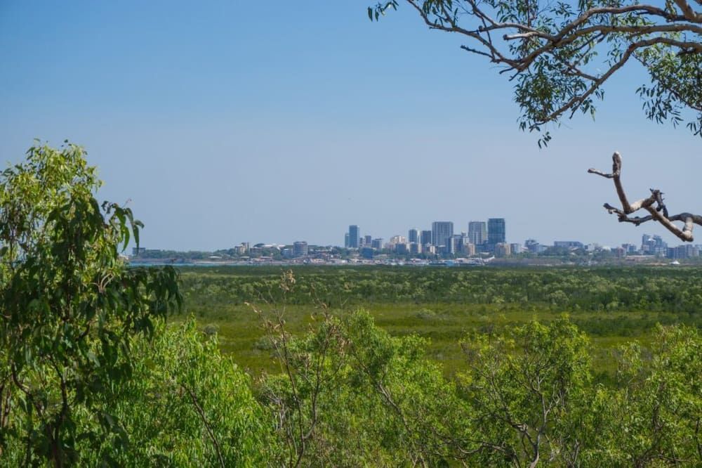 A City Skyline is Visible Through the Trees — Great Northern Airconditioning & Mechanical Services in Coolalinga, NT
