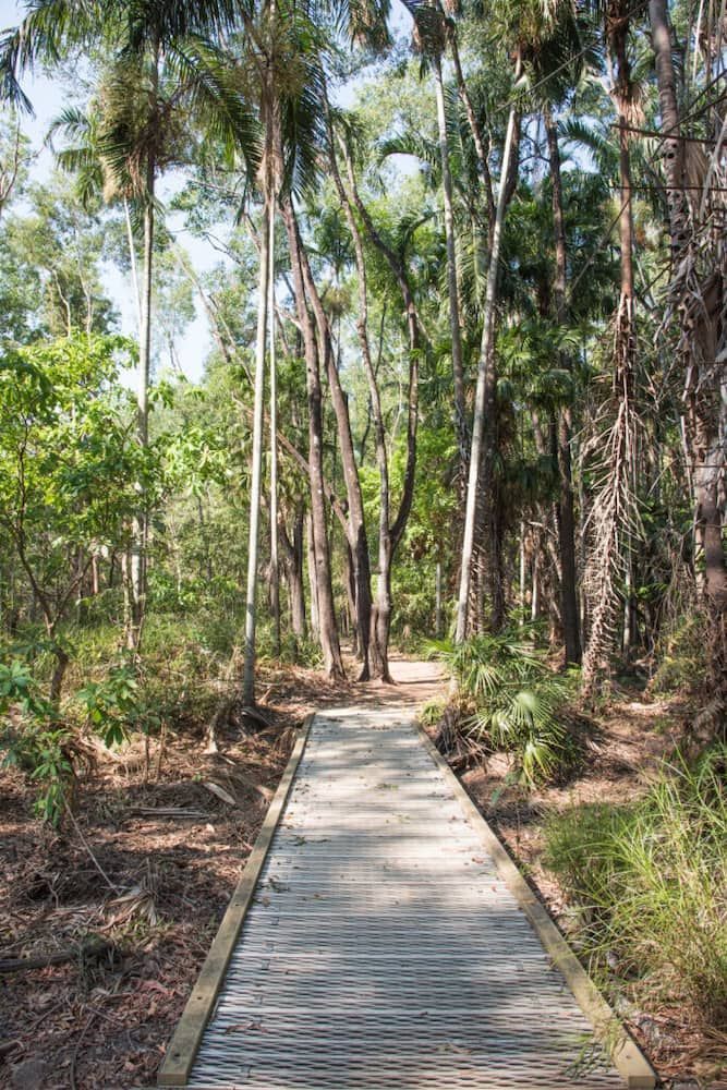 A Wooden Walkway And a Lush Green Forest — Great Northern Airconditioning & Mechanical Services in Howard Springs, NT