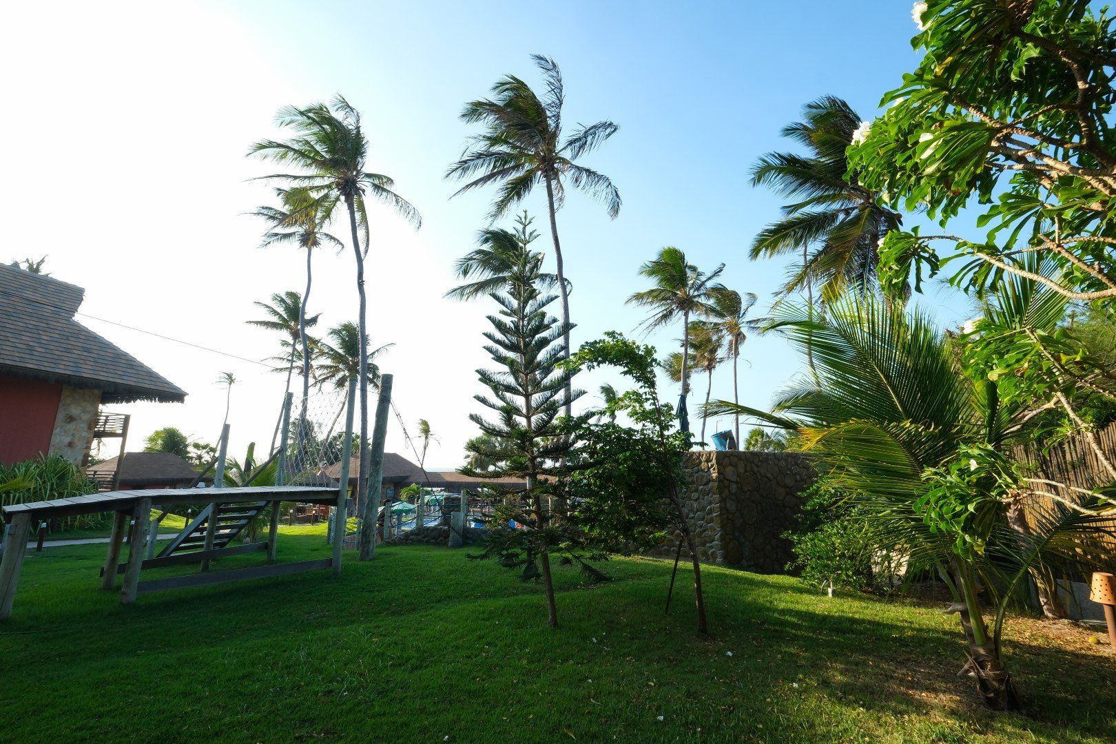Um jardim verdejante com palmeiras e uma mesa de piquenique