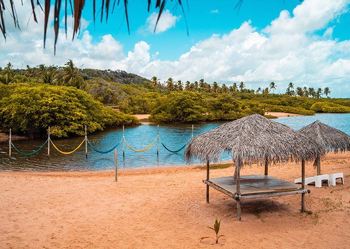 Uma praia com guarda-sóis de palha e redes ao lado de um corpo d'água.