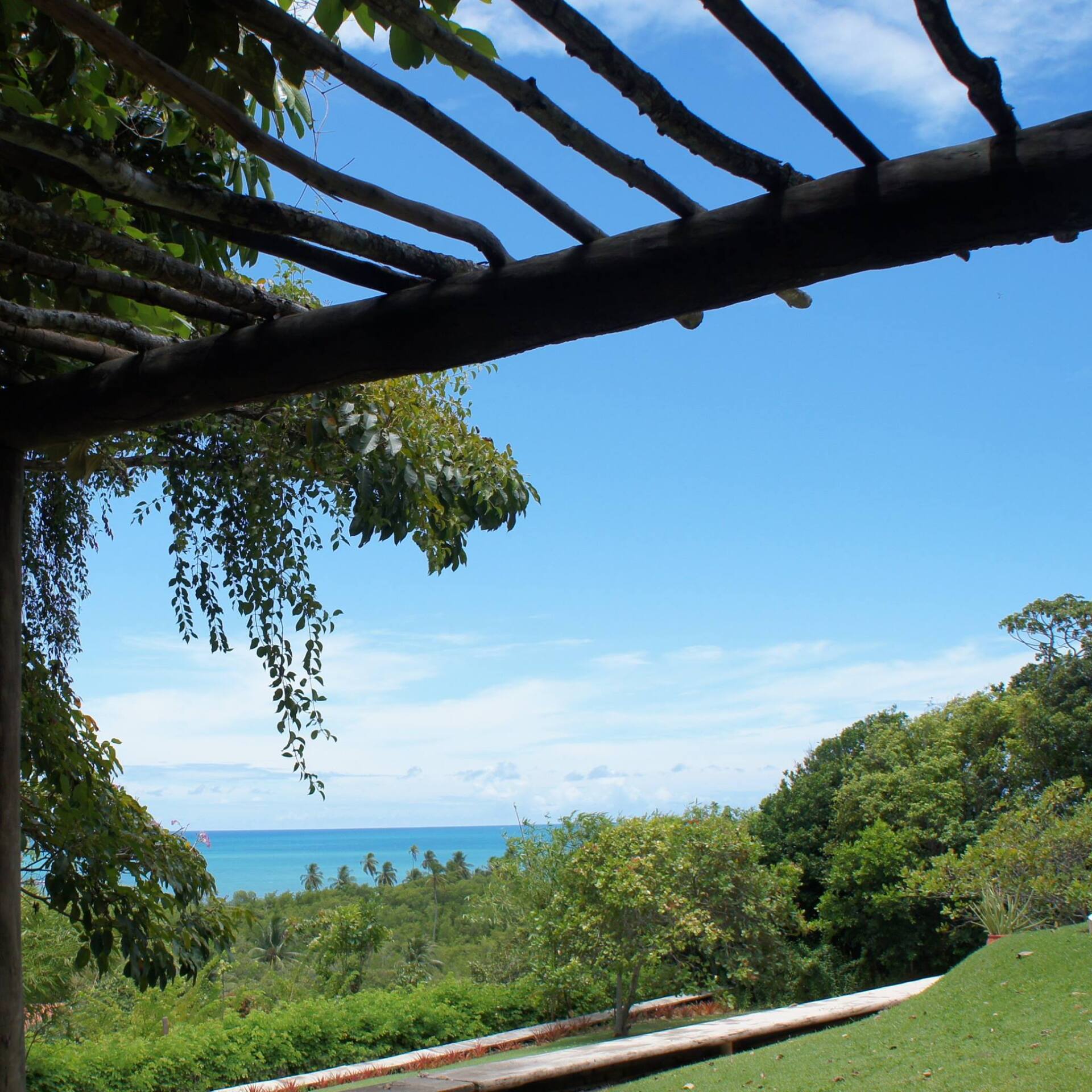 Uma vista do oceano de baixo de uma pérgola