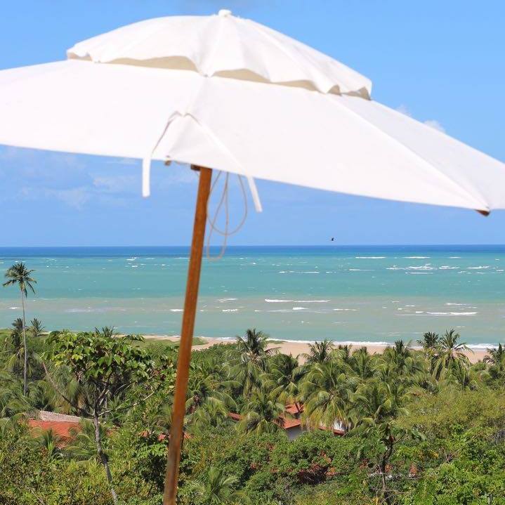 Um guarda-chuva branco está em frente a uma praia com palmeiras