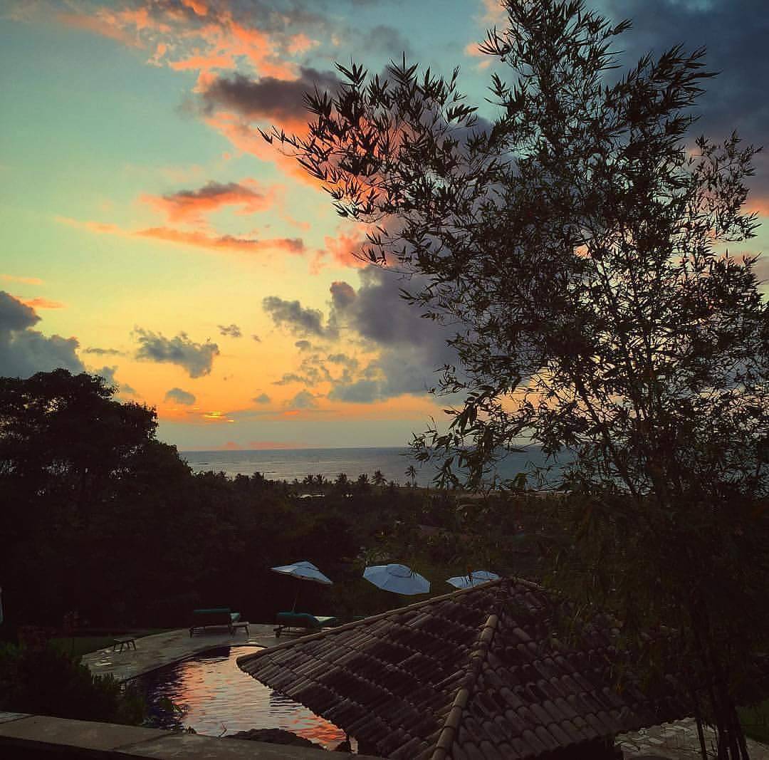 Um pôr do sol sobre um corpo de água com uma árvore em primeiro plano