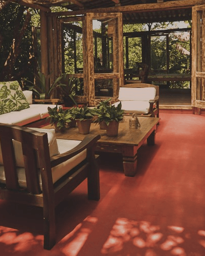 Uma sala de estar com cadeiras e uma mesa com vasos de plantas