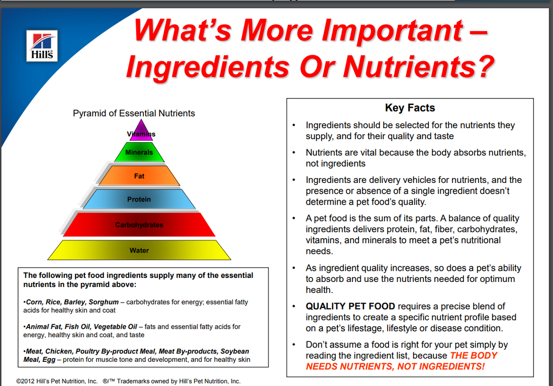 pyramid+essentials+nutrients