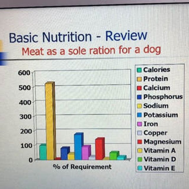 Veterinary nutritionist hotsell raw diet