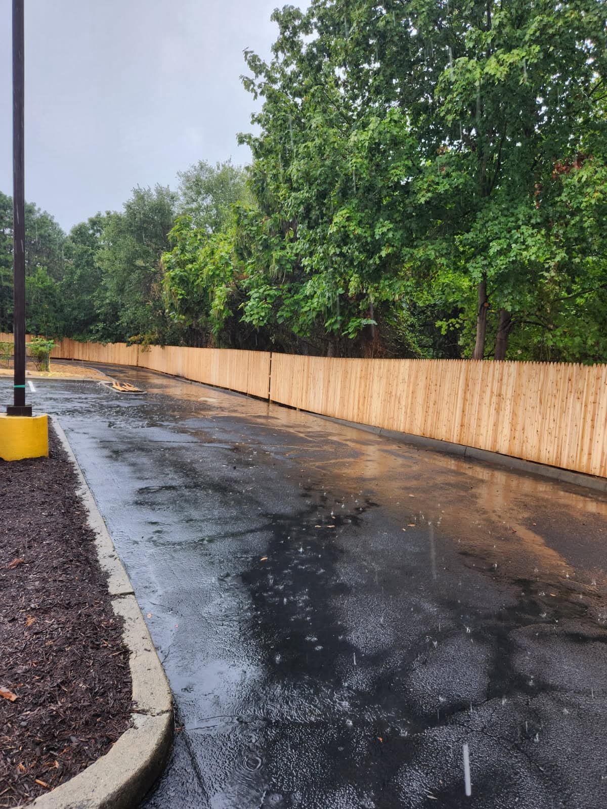 Wet asphalt driveway with a new wooden fence, trees, and a light post.