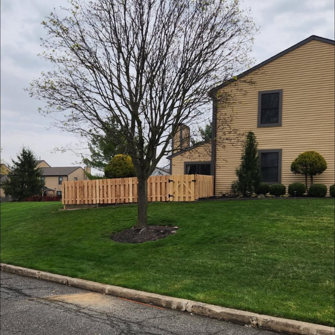 Lawn with newly installed wooden fence in front of a tan building; tree in the center.