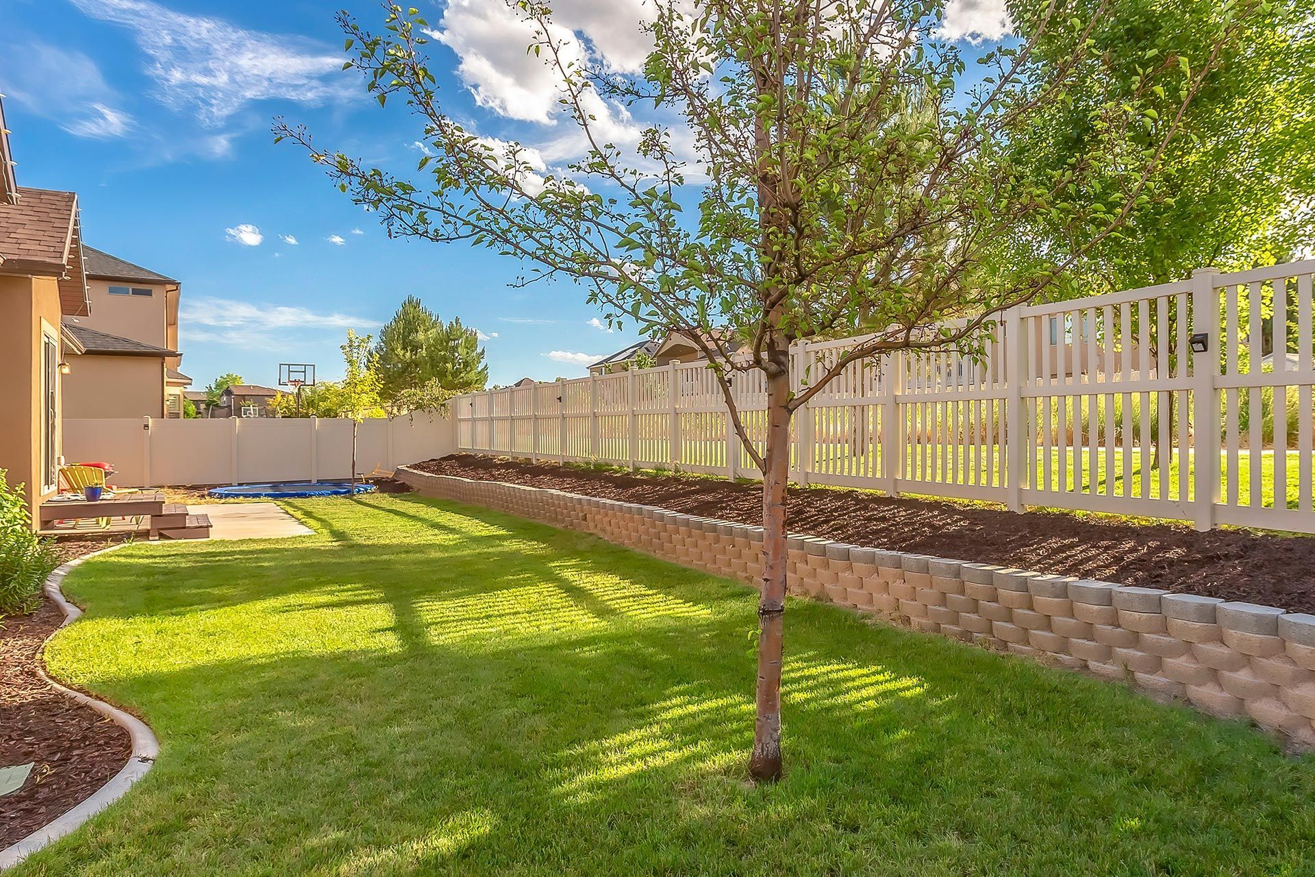 Lawn with a small tree in a backyard, beside a retaining wall and white fence, under a blue sky. Lawn with a small tree in a backyard, beside a retaining wall and white fence, under a blue sky.