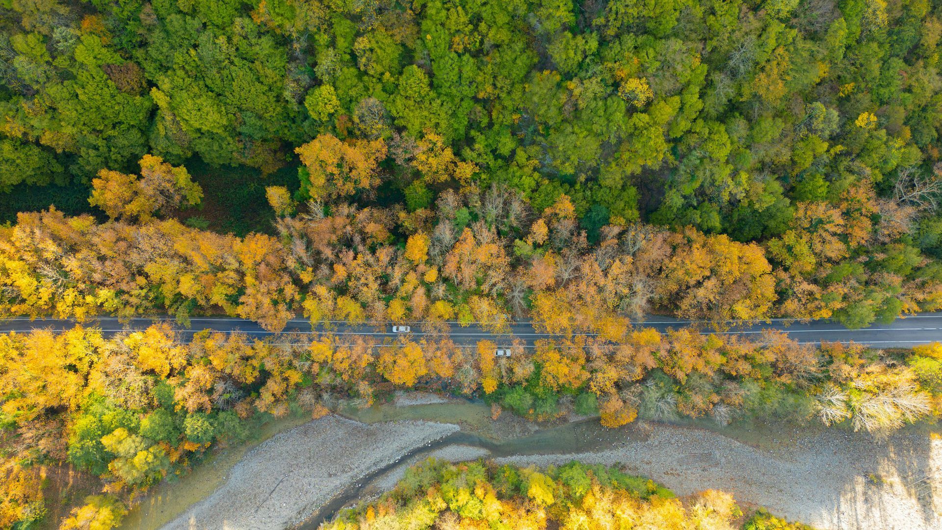 fall-car-maintenance-checklist-in-fort-collins-co