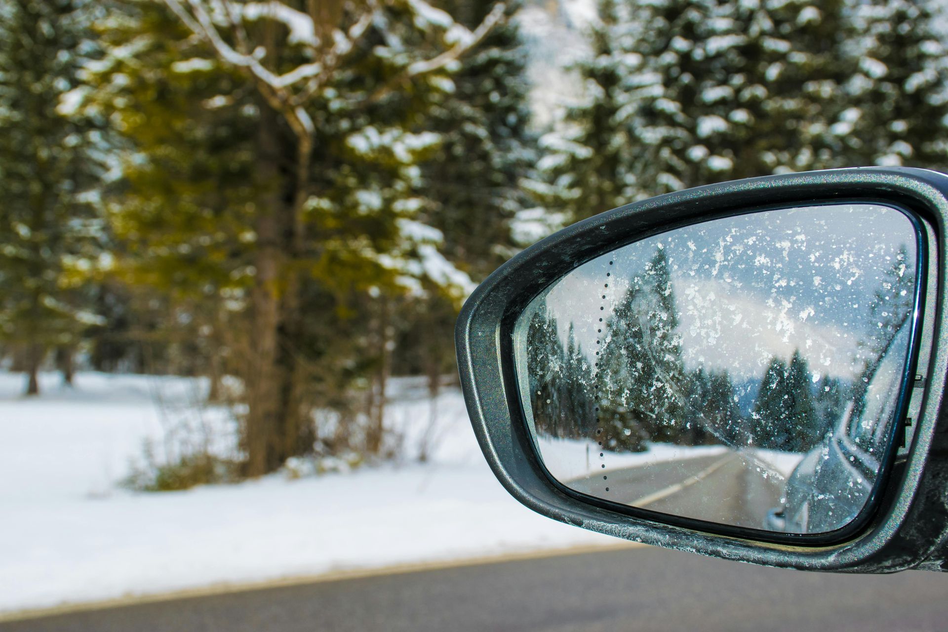 Car's side mirror reflecting a snowy road and evergreen trees. Snowflakes on the mirror.