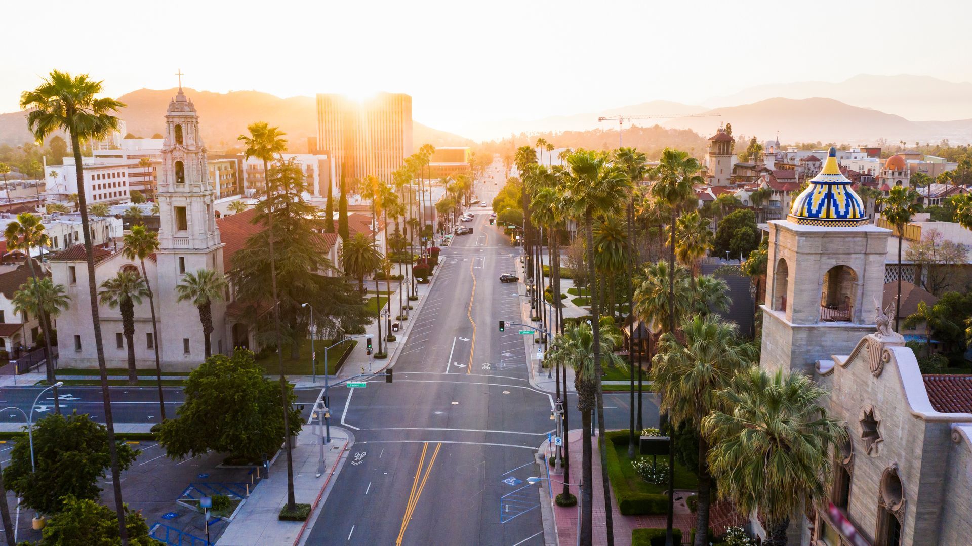 Street lined with palm trees and buildings bathed in warm sunlight.