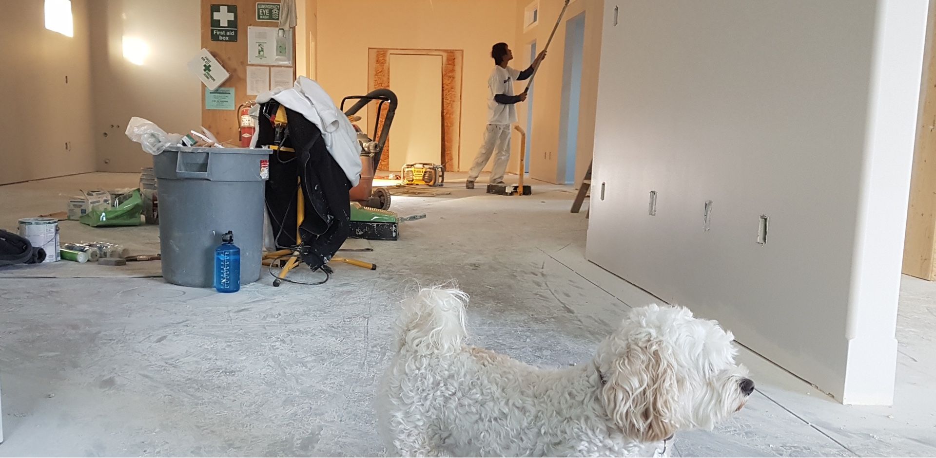 A dog in a room under renovation watches a painter on a ladder. Debris and supplies are scattered.
