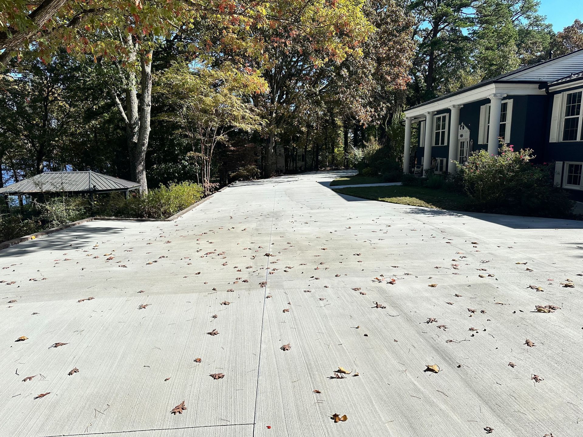 A residential street with a lot of leaves on the ground