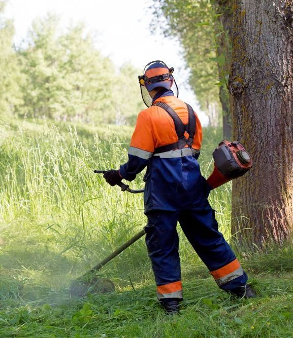 A Man Is Cutting Grass With A Lawn Mower In A Field — Cane Country Slashing & Mowing In Marian, QLD