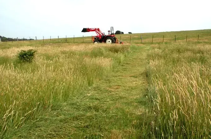 A Bulldozer Is Moving Dirt In A Dirt Field — Cane Country Slashing & Mowing In Marian, QLD