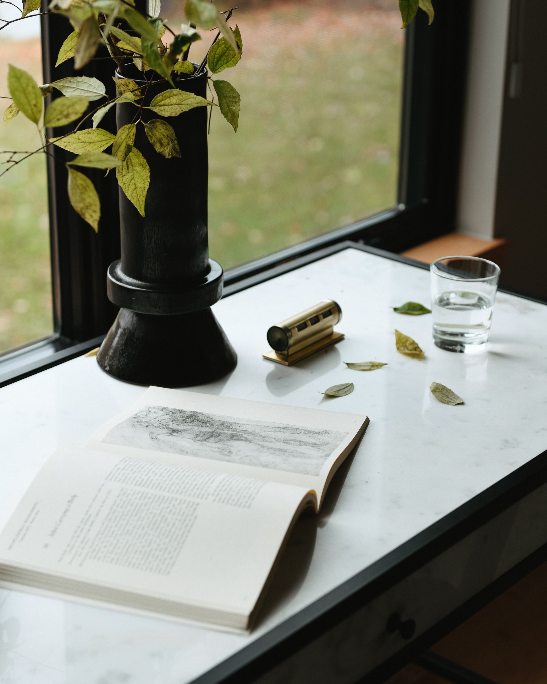 A book is open on a table next to a plant and a glass of water