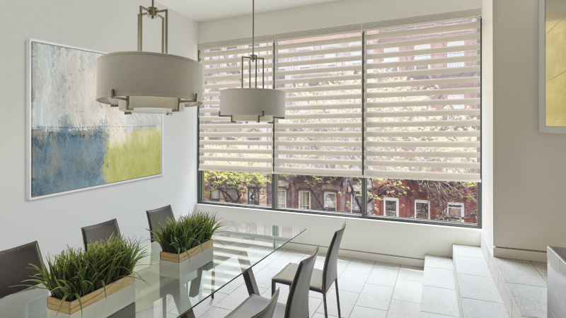 Hunter Douglas Designer Banded Shades