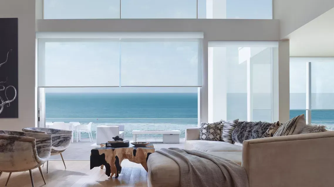 Hunter Douglas Designer Solar Shades