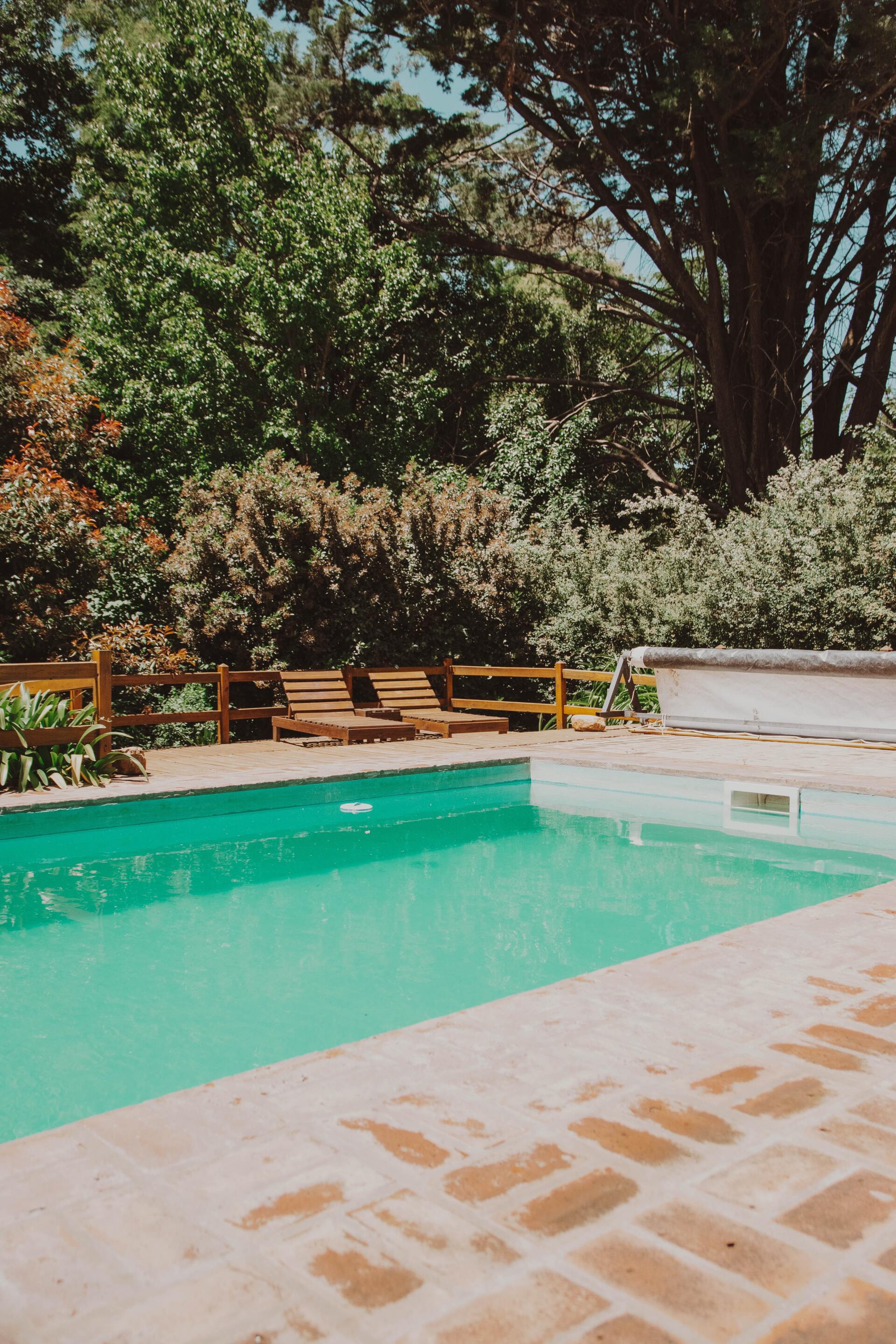Backyard Swimming Pool - Home Improvement in Tamworth, NSW