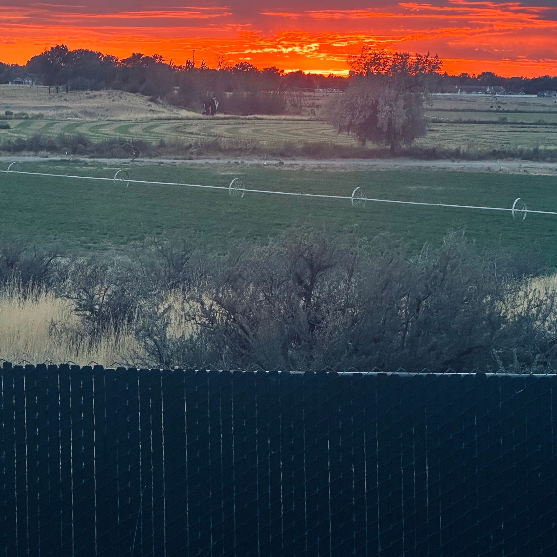 A sunset over a field with a fence in the foreground