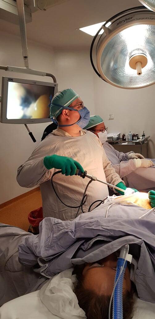 DR. JOSÉ ALBERTO GONZÁLEZ DUARTE