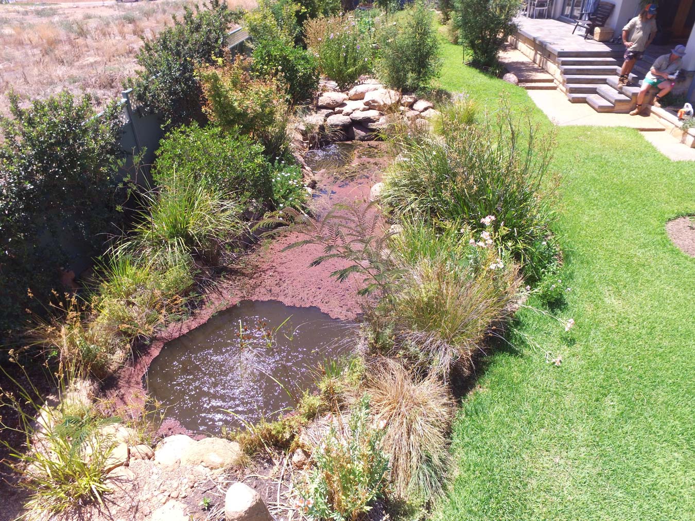 residential-landscaping pond