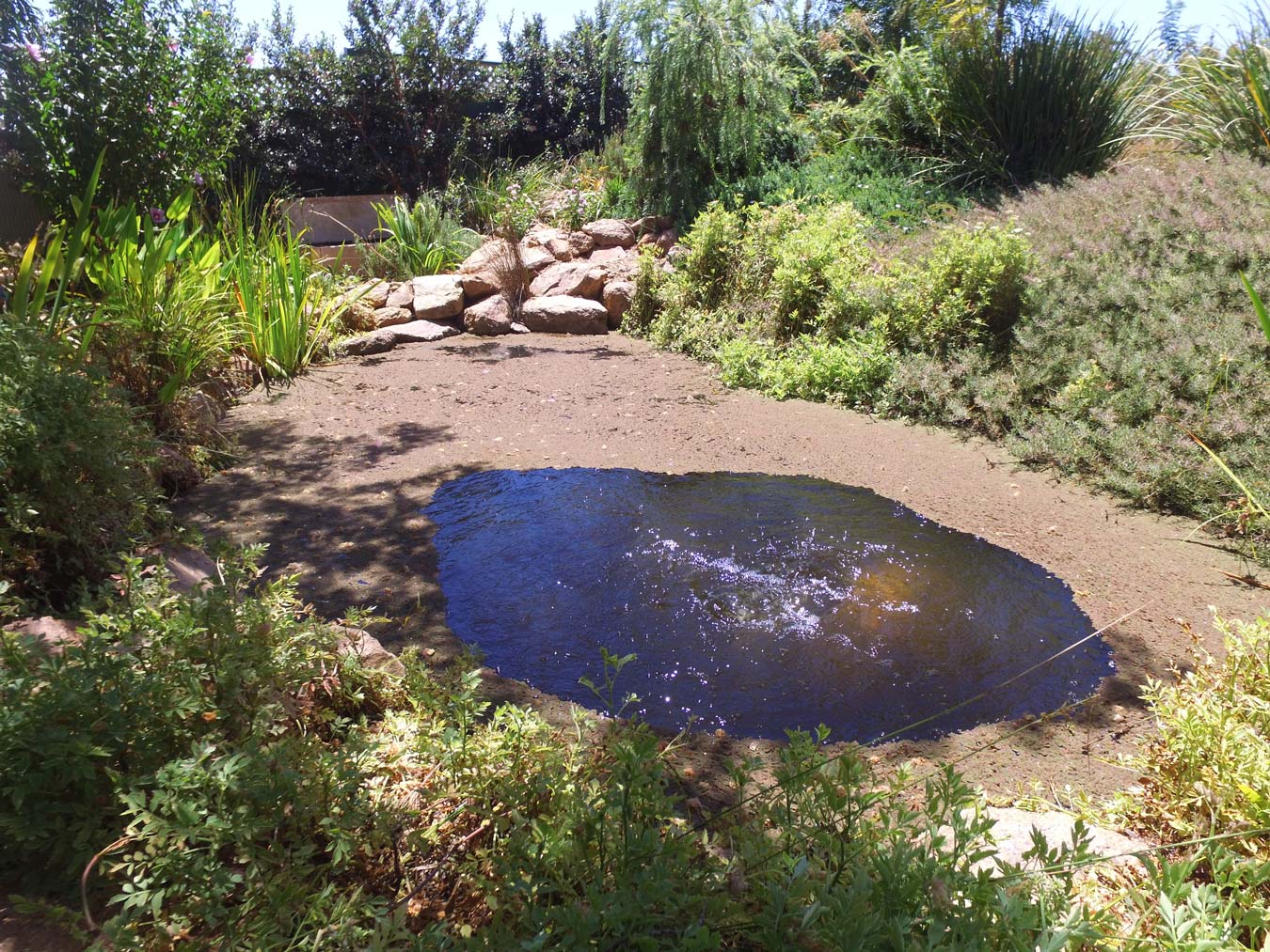 residential-pond