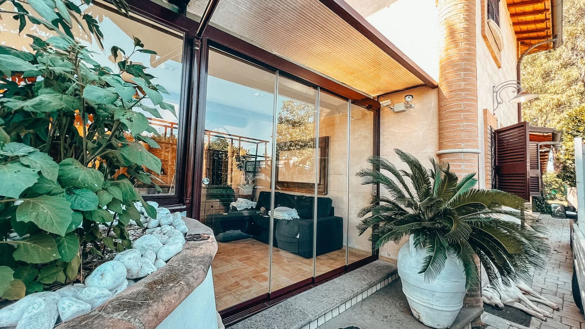 Un soggiorno con un divano e una pianta in vaso davanti a una parete di vetro.