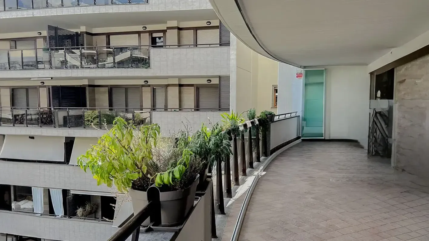 Un balcone con delle piante di fronte a un edificio.