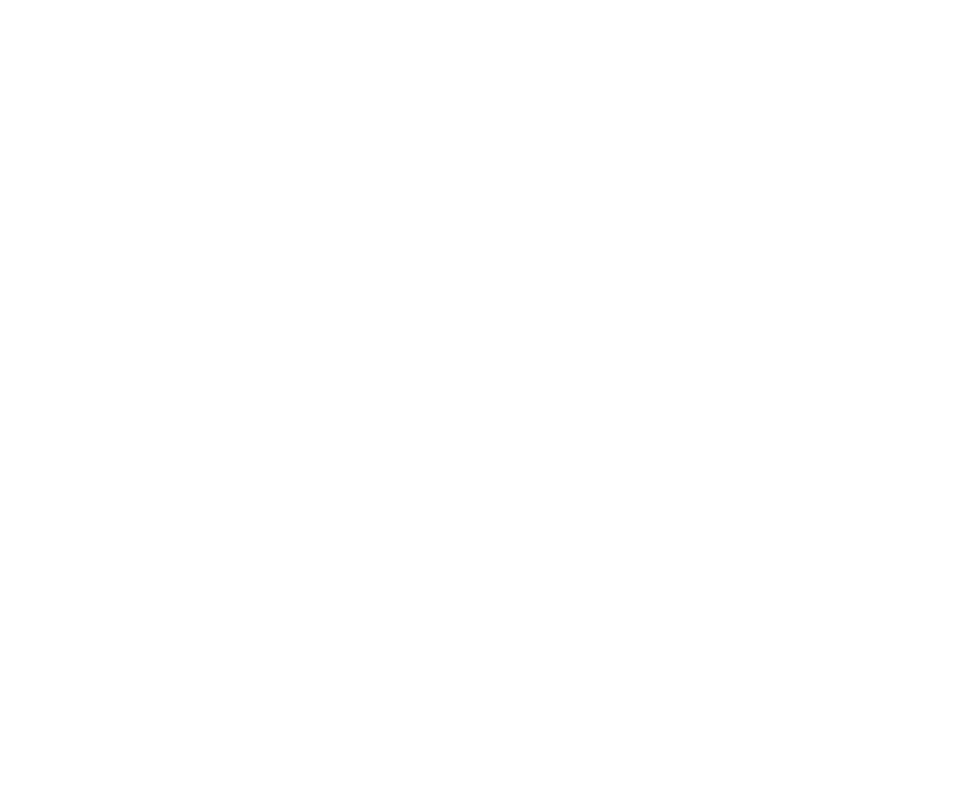 d-ION Productions