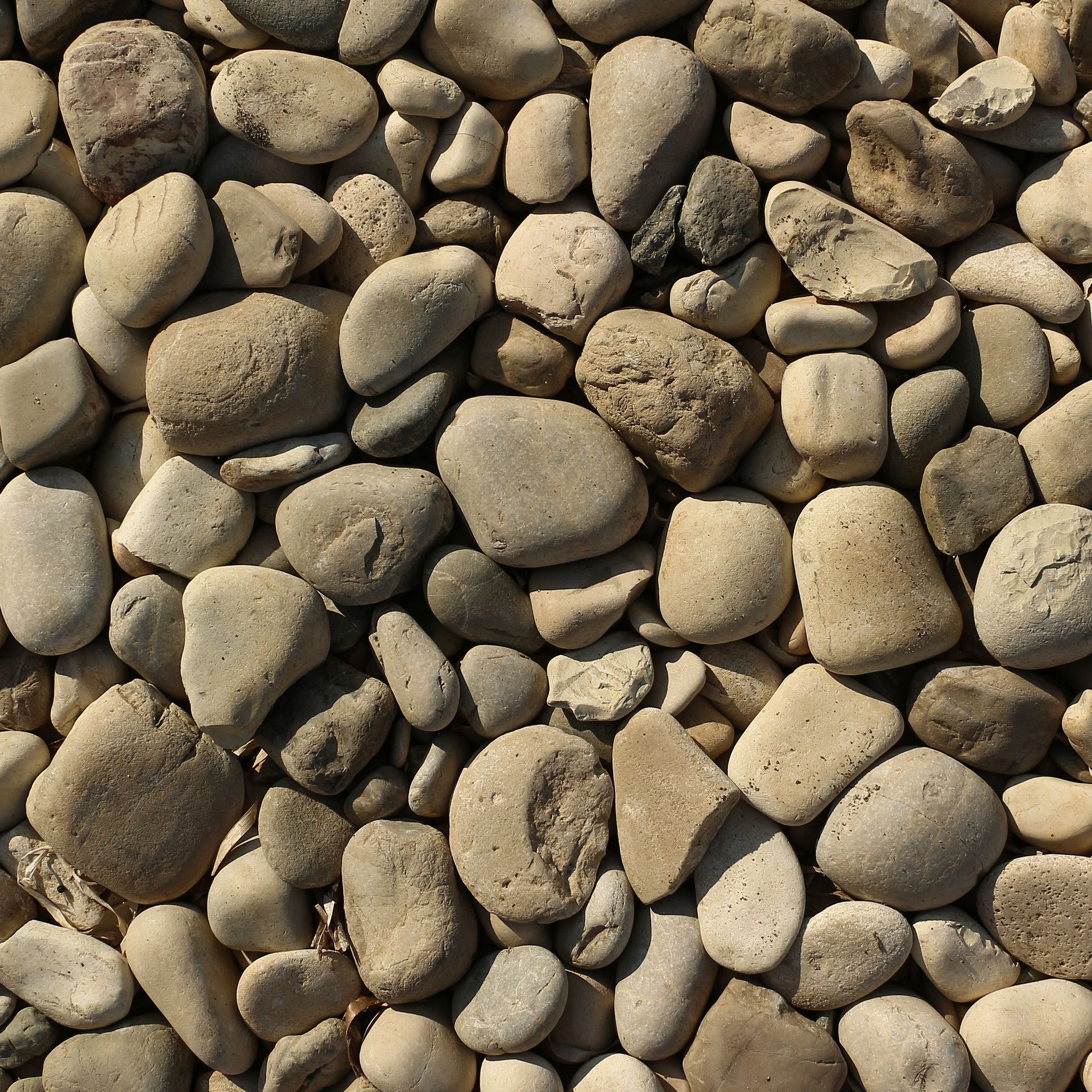 Western Creek River Rock