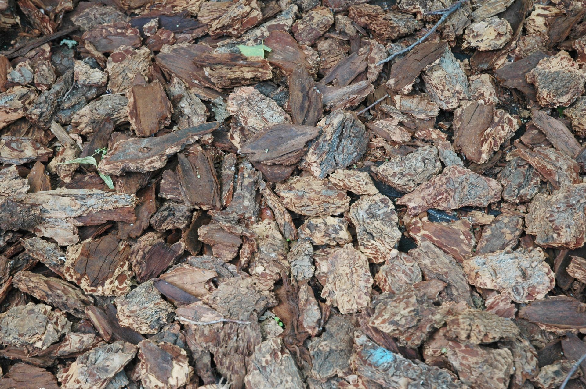 Pine Bark Mini Nuggets