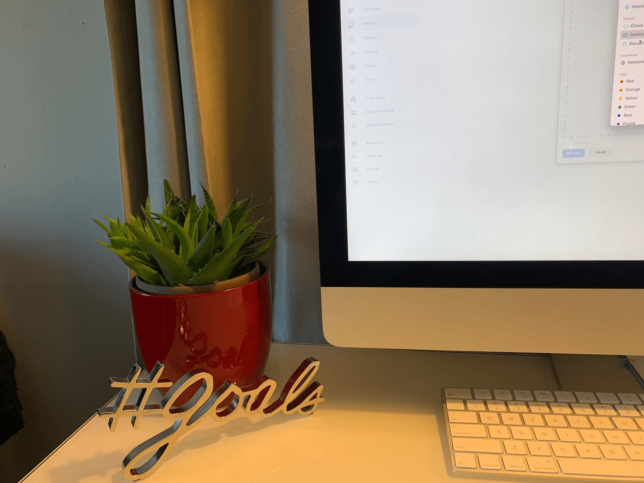 Red potted succulent, 