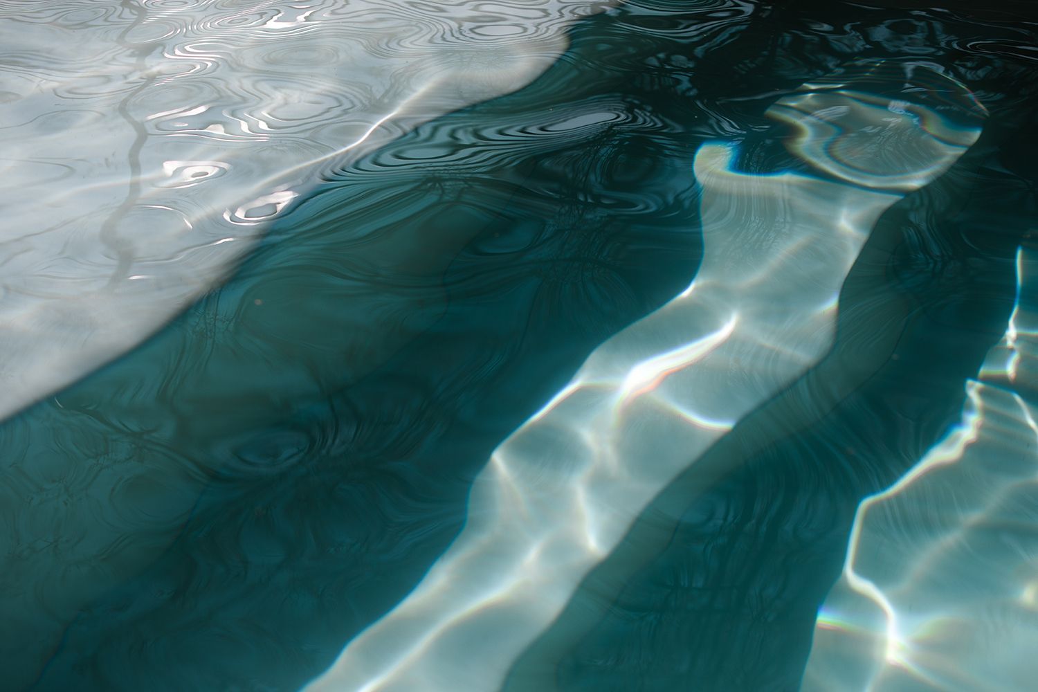 An aerial view of a large castle surrounded by trees.