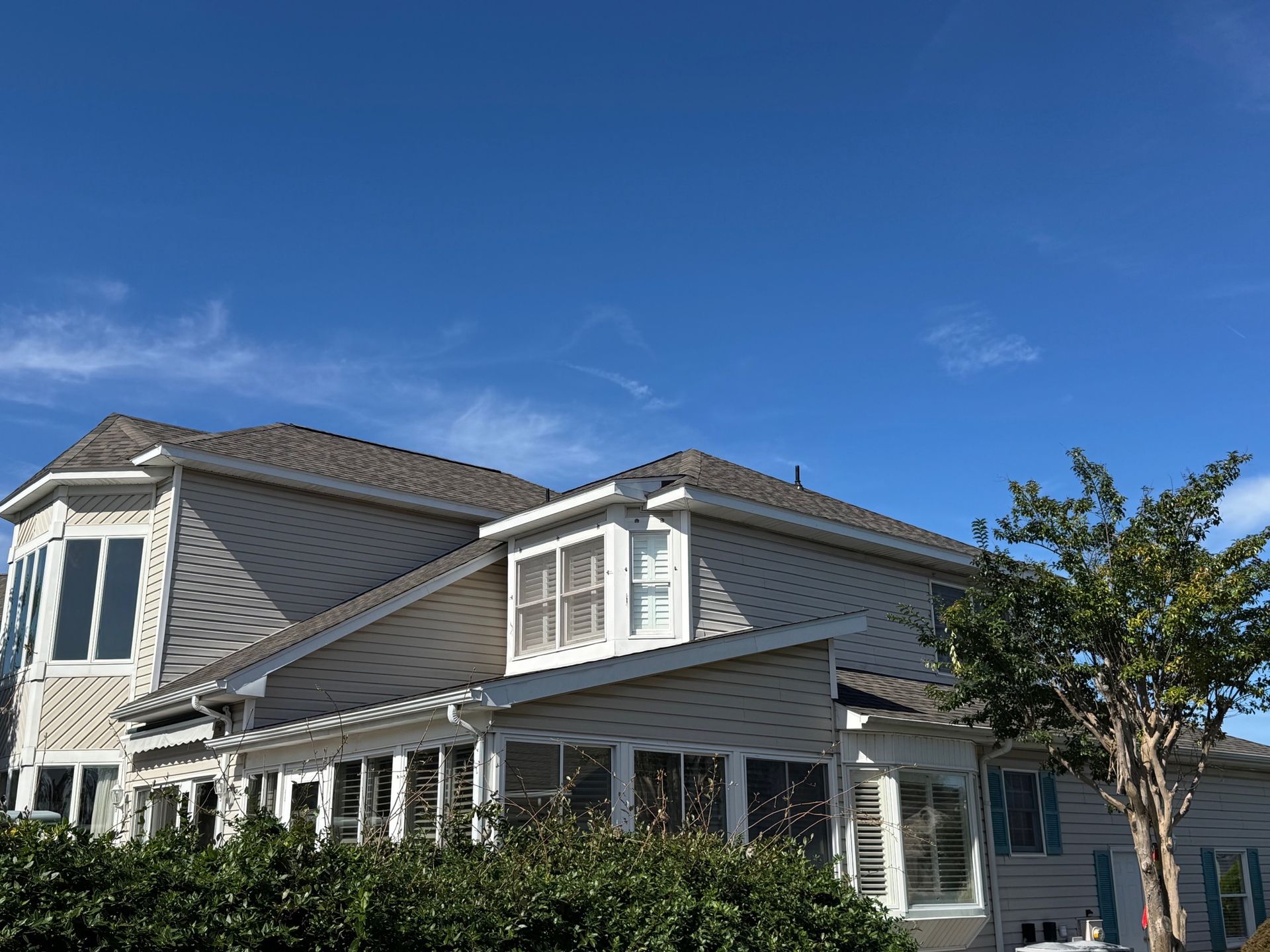 Borkman Selbyville 1