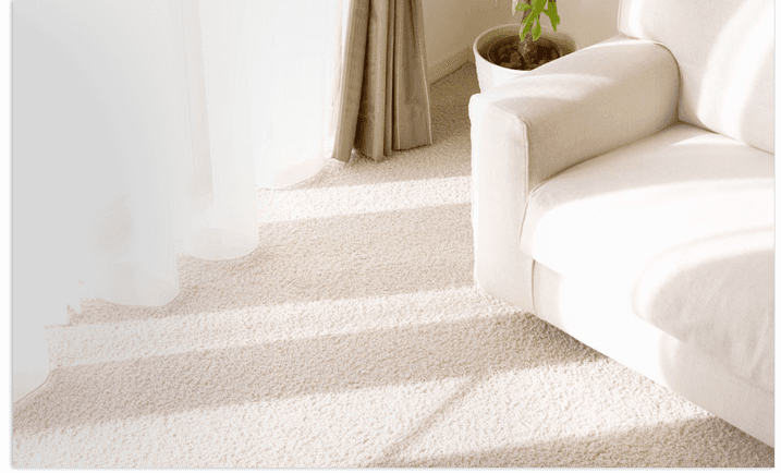 Twist pile carpets - Westcliff on Sea, Essex  - Classic Carpets and Flooring Ltd - home-carpet
