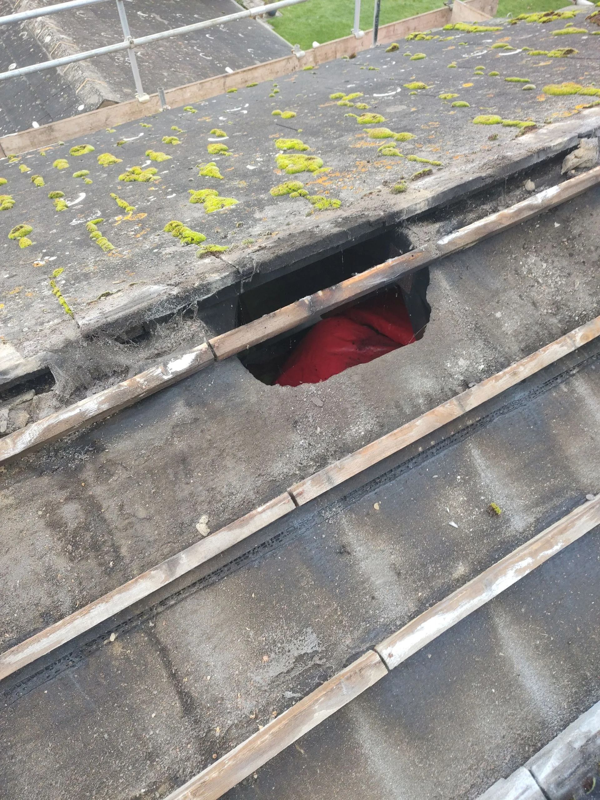 Rooftop view of gray shingles with moss and a small opening revealing red material beneath