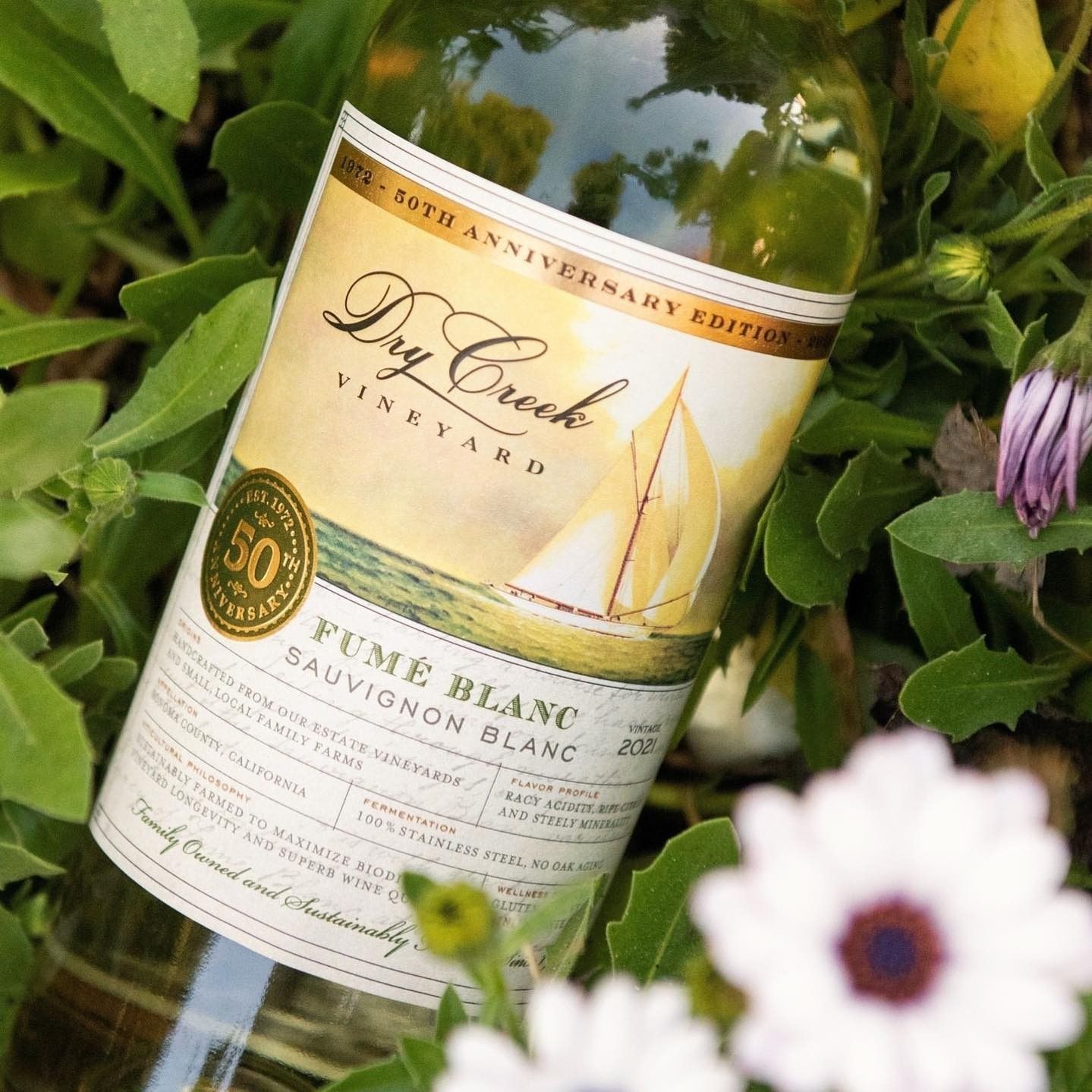 Dry Creek Vineyard Fumé Blanc wine bottle with 50th-anniversary label, nestled among green foliage and white daisies.